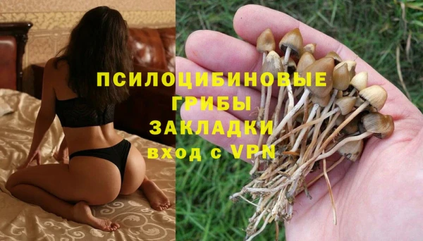 ПСИЛОЦИБИНОВЫЕ ГРИБЫ Абаза