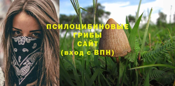 mdpv Абдулино