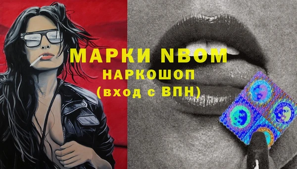 ПСИЛОЦИБИНОВЫЕ ГРИБЫ Абаза