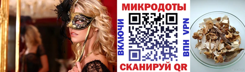 Псилоцибиновые грибы Psilocybe  Братск 