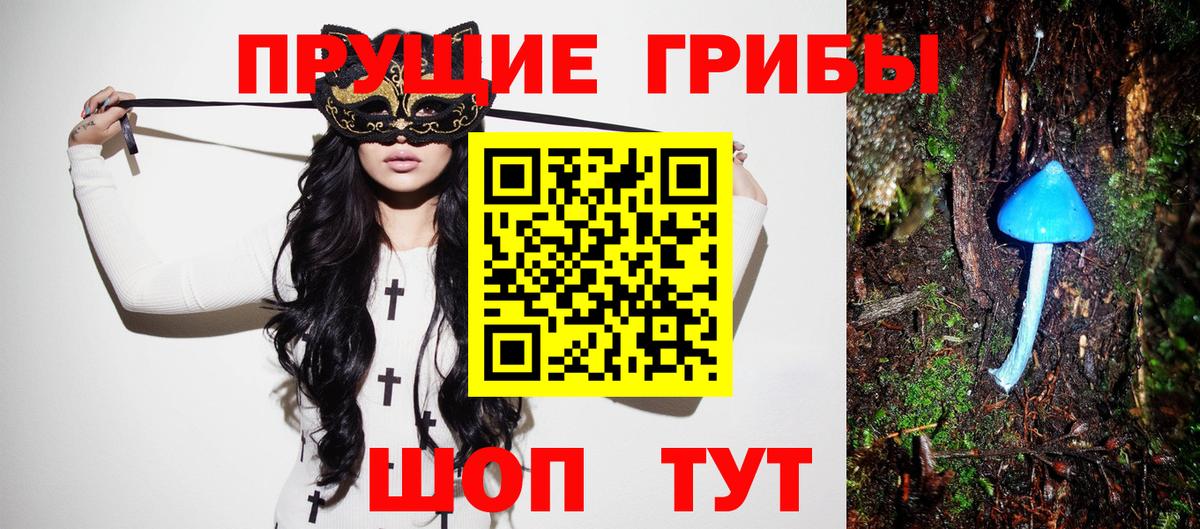 Галлюциногенные грибы Psilocybe  Вход с VPN  Братск 