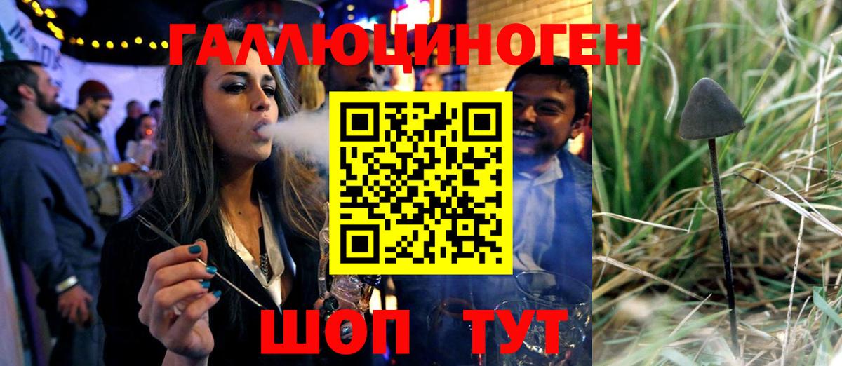 Псилоцибиновые грибы GOLDEN TEACHER Братск