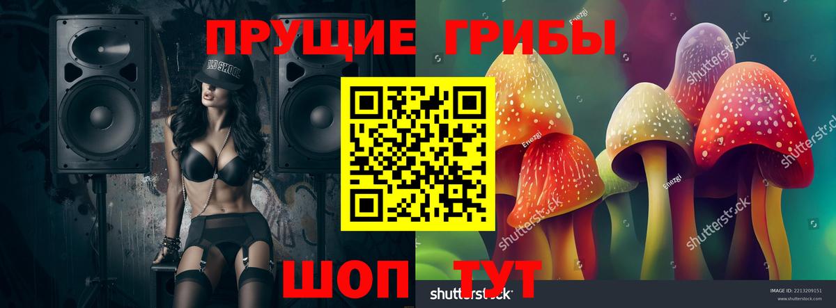 Братск  Галлюциногенные грибы Cubensis  Вход с VPN 